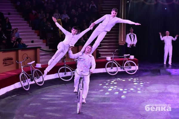 В Гомель приехал легендарный дрессировщик диких кошек В Гомель приехал легендарный дрессировщик диких кошек