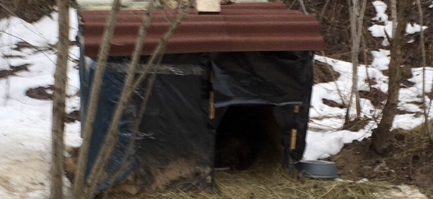 Тутэйшы Хаціка Тутэйшы Хаціка