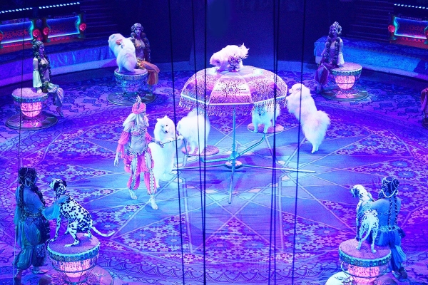 Сказки Востока. Гомель принимает новое шоу Гии Эрадзе