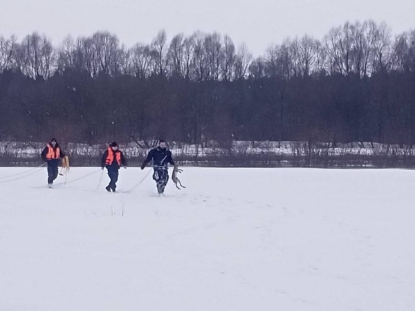 Под Гомелем спасли провалившегося под лед зайца