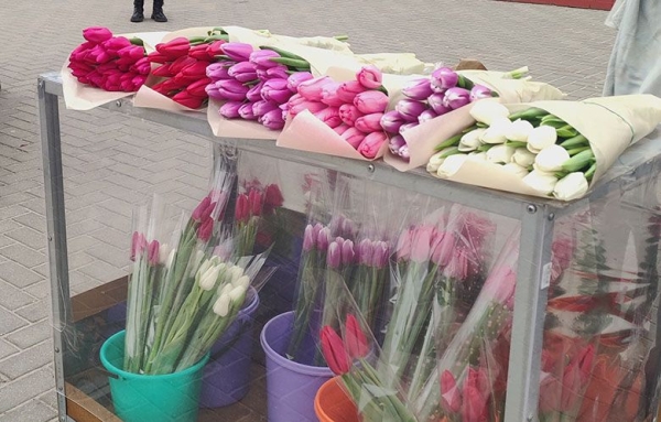 Почем тюльпаны в Гомеле. Записали цены в цветочных лавках