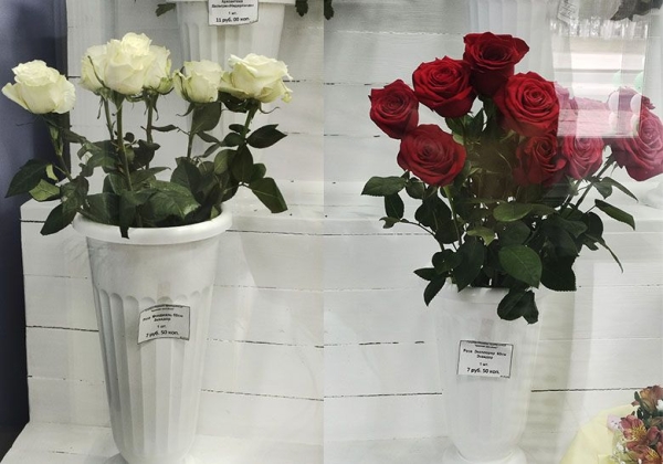 Почем тюльпаны в Гомеле. Записали цены в цветочных лавках