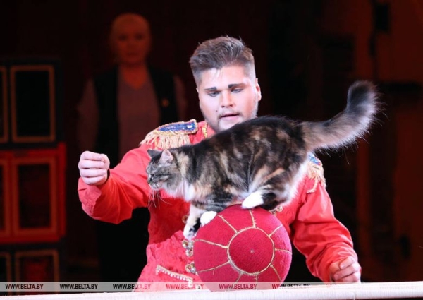 Выходные в Гомеле. Куда сходить 13-14 апреля?