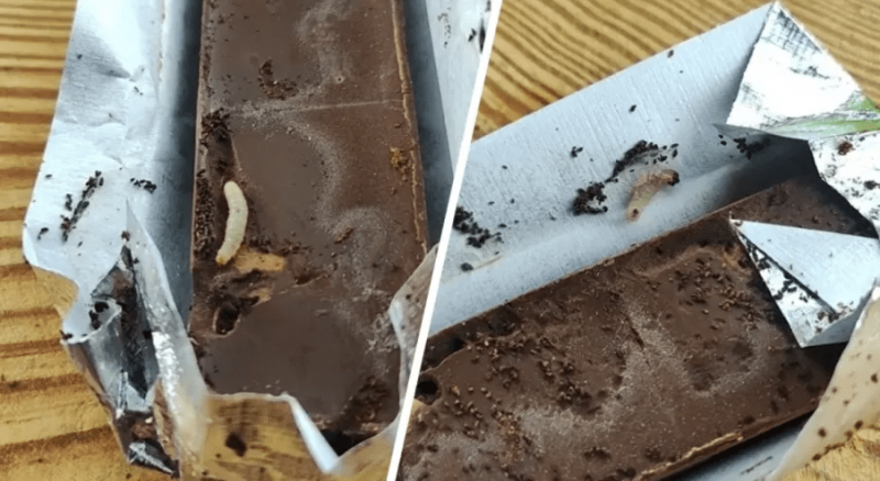 Белорус нашел живых червей в шоколаде «Коммунарка» Белорус нашел живых червей в шоколаде «Коммунарка»