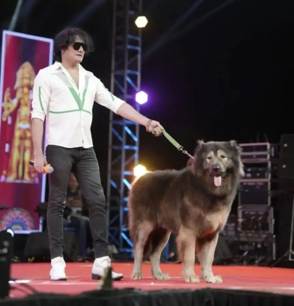 Это самая дорогая собака в мире — ее продали за $5,7 миллиона Это самая дорогая собака в мире — ее продали за $5,7 миллиона